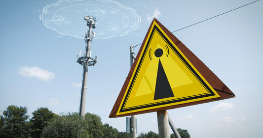 Embracing Harmony: The Faraday Co.'s Answer to Electromagnetic Chaos