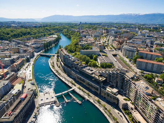 Geneva Car Theft